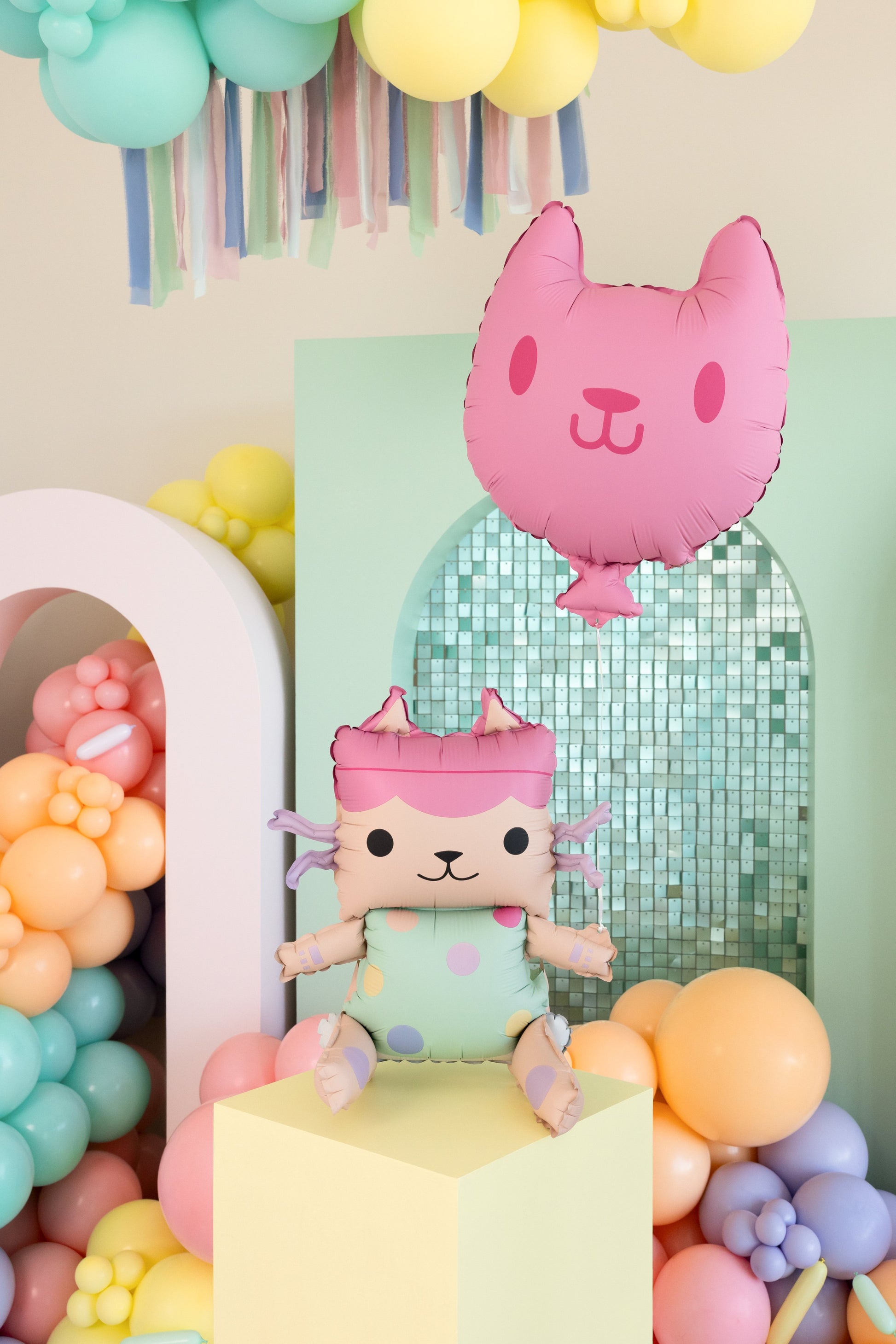 Baby Box with Cat Foil Balloons