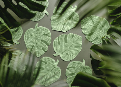 Monstera Napkins