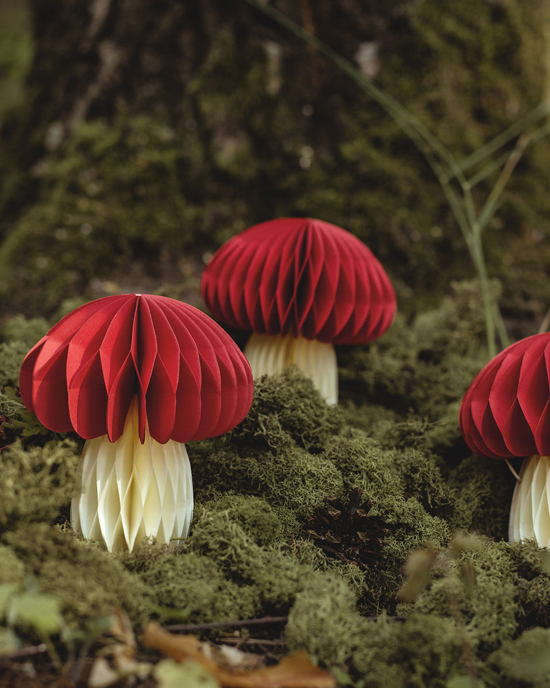 Mushroom Honeycomb 