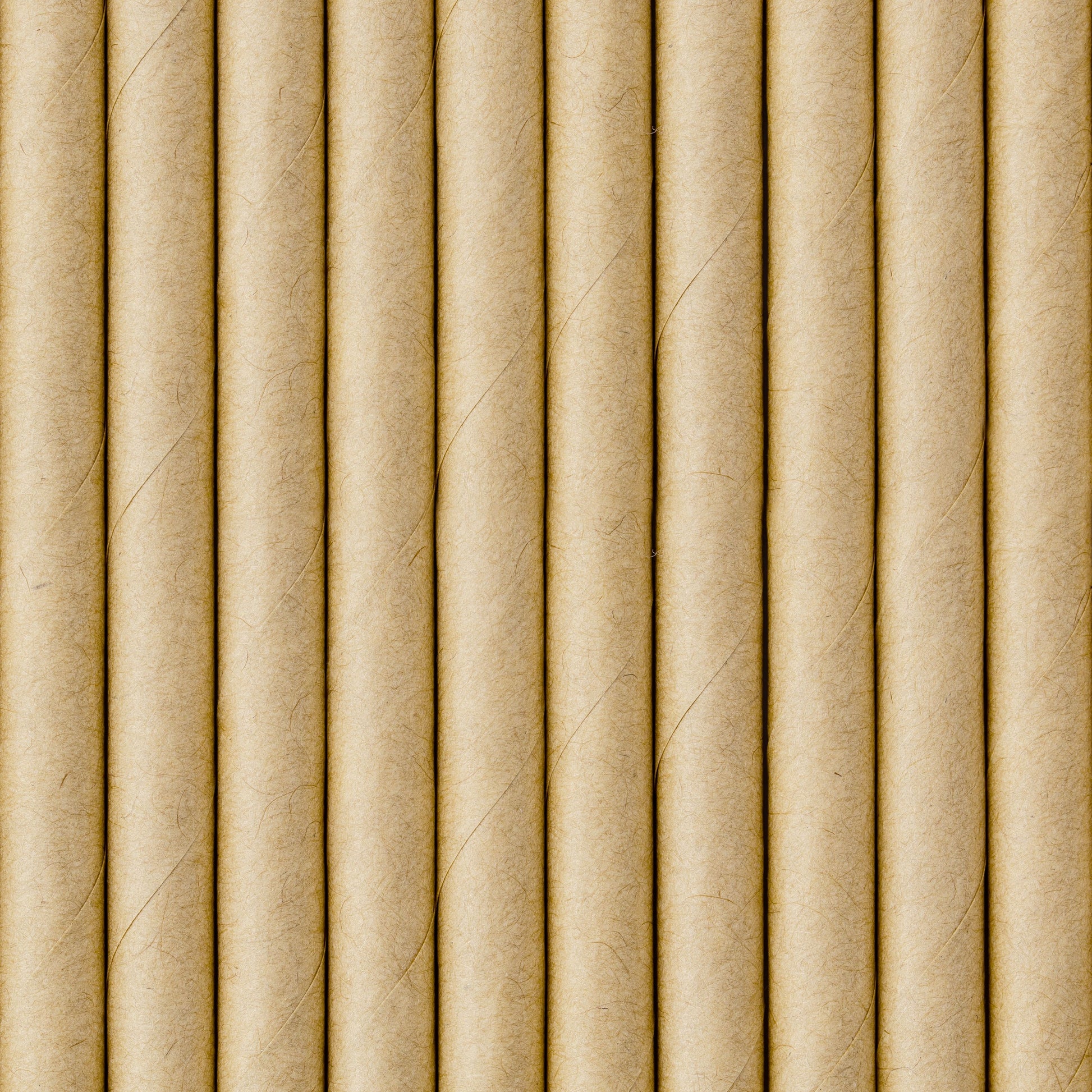 Kraft Paper Straws
