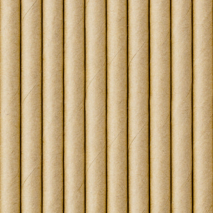 Kraft Paper Straws
