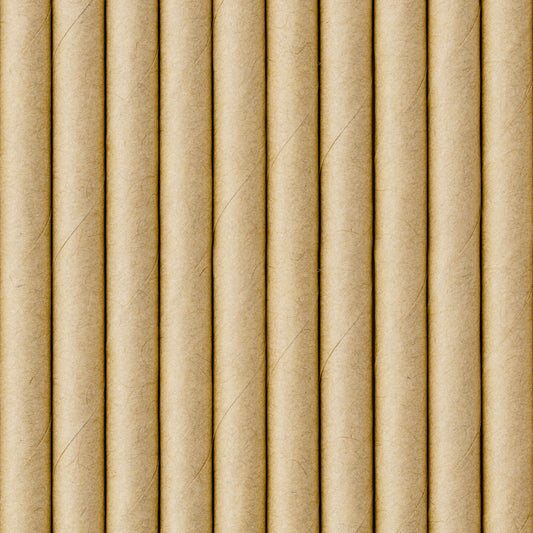 Kraft Paper Straws